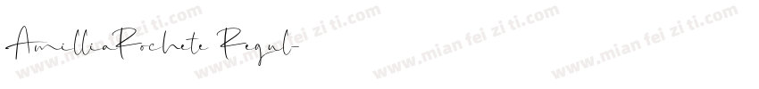 AmilliaRochete Regul字体转换